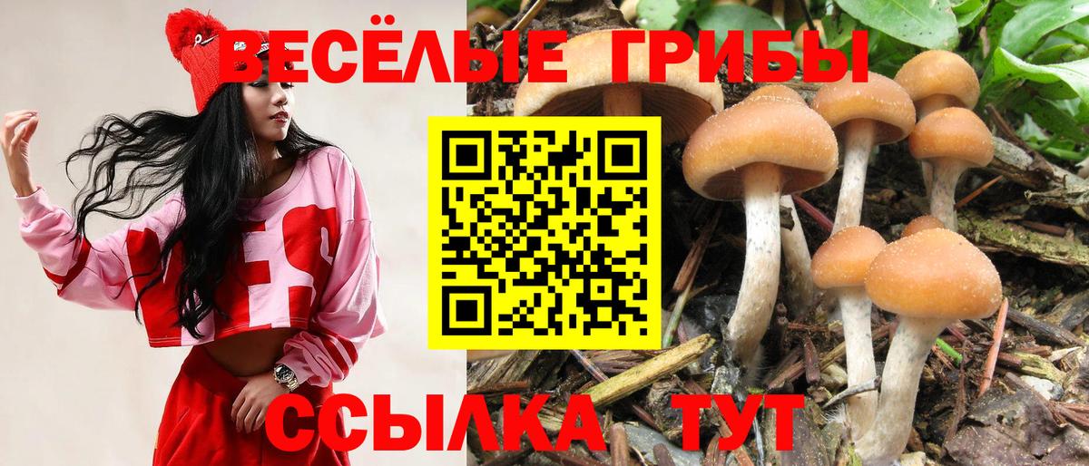 Салехард  продажа наркотиков  Вход с VPN  Псилоцибиновые грибы Cubensis 